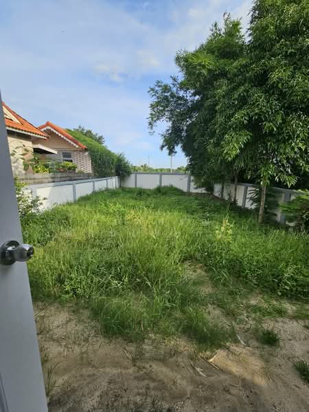 นันทวัน 10 (Nantawan 10), กรุงเทพ, โคกแฝด, หนองจอก, กรุงเทพ, 250 ตร.ม., บ้านเดี่ยว ขาย, โดย นภัสศรณ์ วงศ์สินไทยกร (นันท์), 500413265 - DDproperty.com