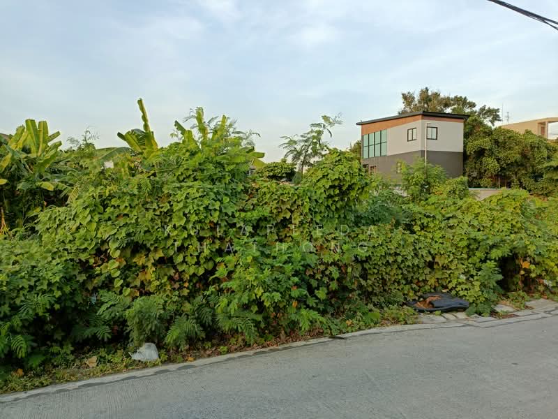 Lat Phrao, Bangkok, นาคนิวาส 21, Lat Phrao, Bangkok, , 1,664 sqm, Land For Sale, by Kulapeeda Thathong, 500413286 - DDproperty.com