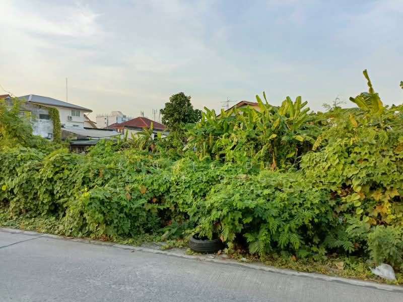 Lat Phrao, Bangkok, นาคนิวาส 21, Lat Phrao, Bangkok, , 1,664 sqm, Land For Sale, by Kulapeeda Thathong, 500413286 - DDproperty.com