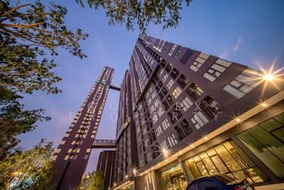 ขาย - Modiz Sukhumvit 50 : โมดิซ สุขุมวิท 50, กรุงเทพ