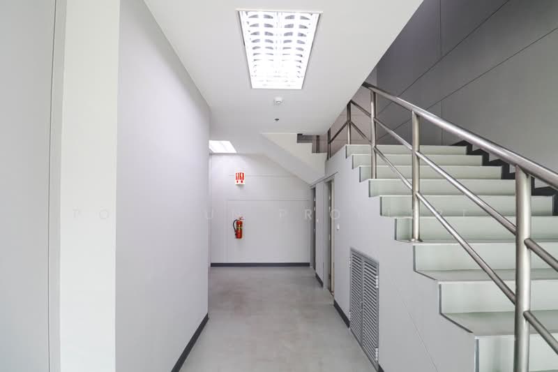 Factory / Warehouse for Rent – FREE ZONE, Laem Chabang, Chonburi, Chon Buri (Pattaya), Thung Suk La, Si Racha, Chon Buri (Pattaya), , 2,967 sqm, Warehouse/Factory For Rent, by Pornpun Promlert, 500413356 - DDproperty.com