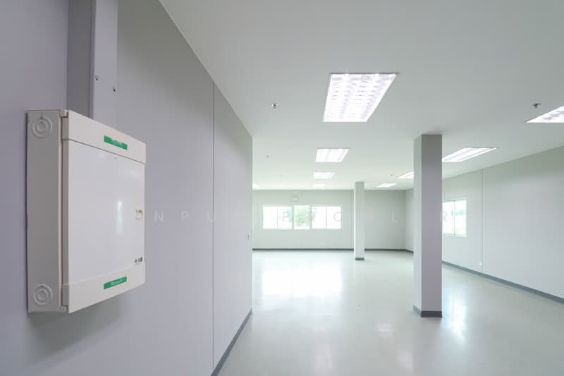Factory / Warehouse for Rent – FREE ZONE, Laem Chabang, Chonburi, Chon Buri (Pattaya), Thung Suk La, Si Racha, Chon Buri (Pattaya), , 2,967 sqm, Warehouse/Factory For Rent, by Pornpun Promlert, 500413356 - DDproperty.com