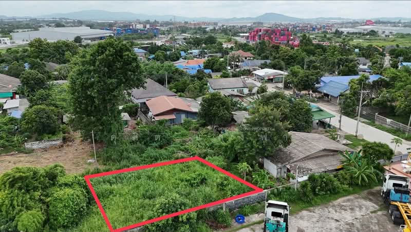 ขายที่ดินศรีราชา ทำเลทองใกล้ถนนวัดบ่อหิน ผังสีม่วงลาย 88 ตรว, Chon Buri (Pattaya), Thung Suk La, Si Racha, Chon Buri (Pattaya), , 352 sqm, Land For Sale, by Dusit Saengfa, 500413464 - DDproperty.com