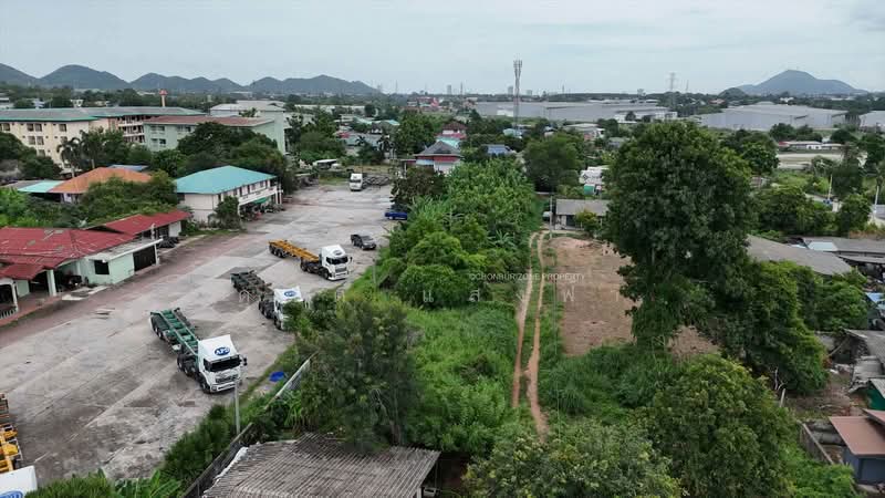 ขายที่ดินศรีราชา ทำเลทองใกล้ถนนวัดบ่อหิน ผังสีม่วงลาย 88 ตรว, Chon Buri (Pattaya), Thung Suk La, Si Racha, Chon Buri (Pattaya), , 352 sqm, Land For Sale, by Dusit Saengfa, 500413464 - DDproperty.com