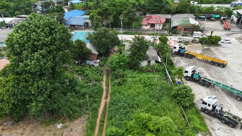 ขายที่ดินศรีราชา ทำเลทองใกล้ถนนวัดบ่อหิน ผังสีม่วงลาย 88 ตรว., ชลบุรี, ทุ่งสุขลา, ศรีราชา, ชลบุรี, 352 ตร.ม., ที่ดิน ขาย, โดย ดุสิต แสงฟ้า, 500413464 - DDproperty.com
