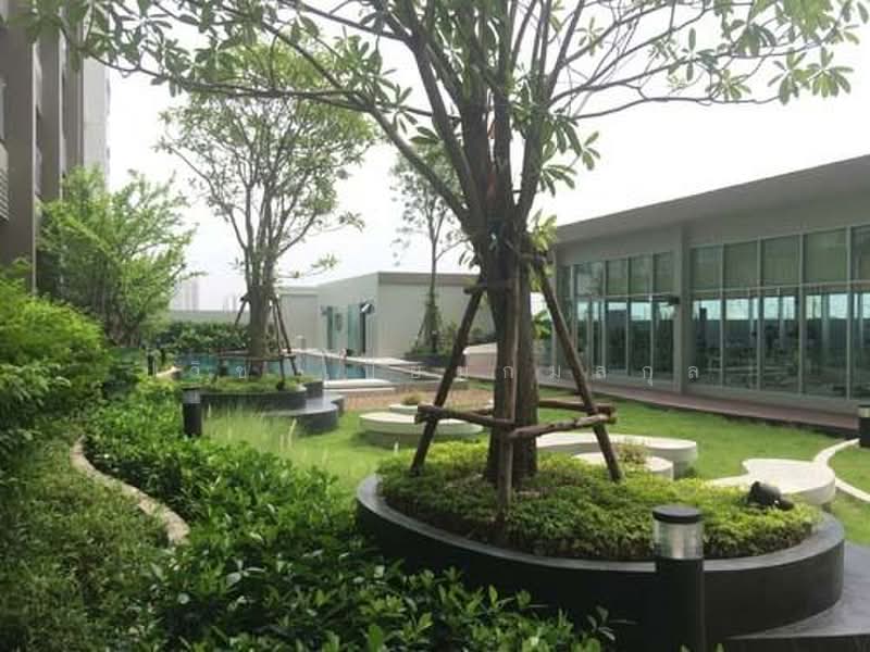 Aspire Sathorn - Taksin Timber Zone, Bangkok, 55 Ratchaphruek Road, Bangko, Chom Thong, Bangkok, 1 Bedroom, 27 sqm, Condo For Rent, by Pawish Piemkamolkul, 500413484 - DDproperty.com