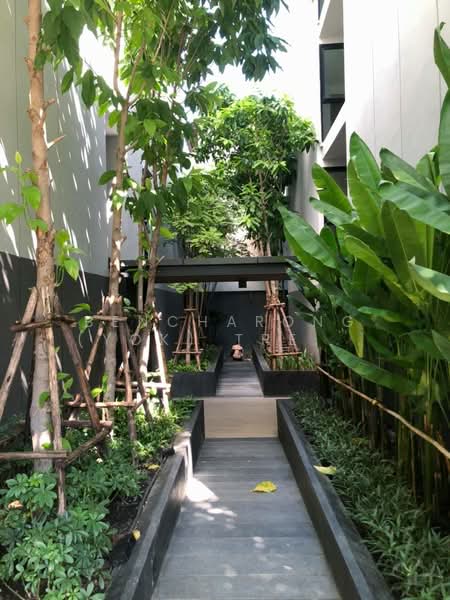 Vtara Sukhumvit 36 : วีธารา สุขุมวิท 36, กรุงเทพ, 118 ซอยแสนสบาย, พระโขนง, คลองเตย, กรุงเทพ, 34 ตร.ม., คอนโด ให้เช่า, โดย Bencharong (Yok) Treerat-a-na-wat, 500413504 - DDproperty.com