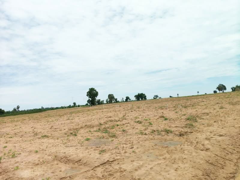 ที่ดินลาดยาว นครสวรรค์, Nakhon Sawan, Ban Rai, Lat Yao, Nakhon Sawan, , 270,420 sqm, Land For Sale, by The Best Property ปัต, 500413550 - DDproperty.com