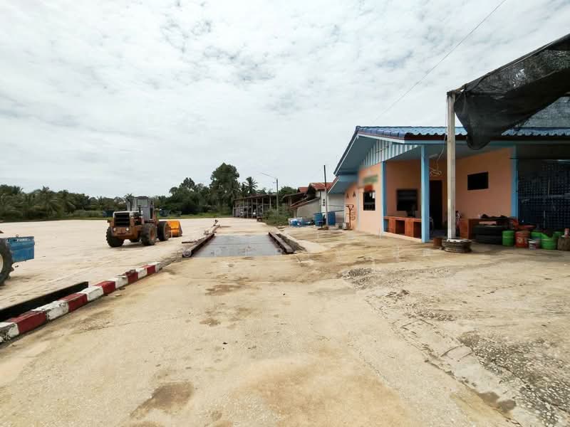 ที่ดินลาดยาว นครสวรรค์, นครสวรรค์, บ้านไร่, ลาดยาว, นครสวรรค์, 270,420 ตร.ม., ที่ดิน ขาย, โดย The Best Property ปัต, 500413550 - DDproperty.com