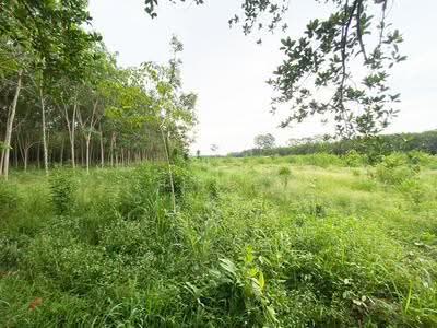 ขาย - ที่ดินบ้านค่าย ระยอง, ระยอง