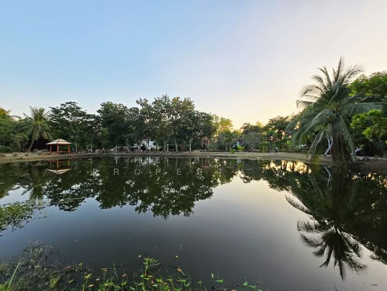 บ้านเดี่ยวพร้อมที่ดินอัมพวา สมุทรสงคราม, สมุทรสงคราม, ท่าคา, อัมพวา, สมุทรสงคราม, 100 ตร.ม., บ้านเดี่ยว ขาย, โดย The Best Property ตู่, 500413588 - DDproperty.com