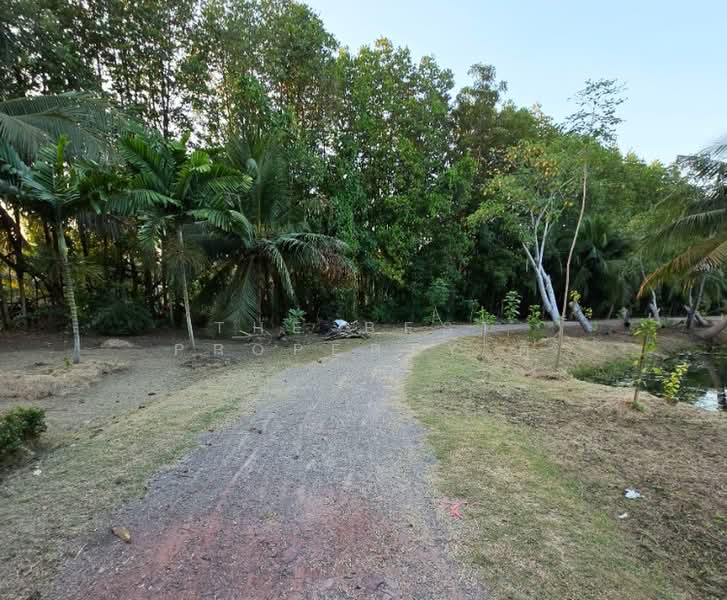 บ้านเดี่ยวพร้อมที่ดินอัมพวา สมุทรสงคราม, Samut Songkhram, Tha Kha, Amphawa, Samut Songkhram, 2 Bedrooms, 100 sqm, Single Detached House For Sale, by The Best Property ตู่, 500413588 - DDproperty.com