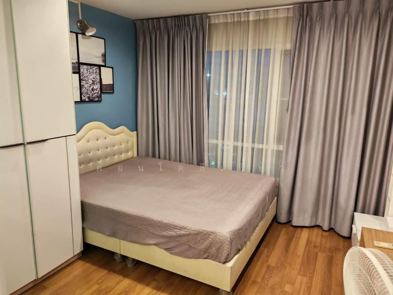 Regent Home Sukhumvit 81 : รีเจ้นท์ โฮม สุขุมวิท 81, กรุงเทพ, ซ. สุขุมวิท 81, สวนหลวง, กรุงเทพ, 28 ตร.ม., คอนโด ให้เช่า, โดย คอนโดสีเขียว, 500413594 - DDproperty.com