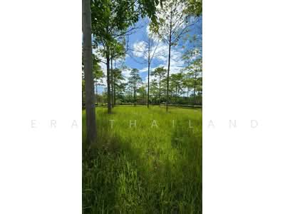 ขาย - ขาย ที่ดิน เขาใหญ่ Toscana Valley เห็นเขาใหญ่ในมุมที่สวยที่สุด เเปลงมุม, นครราชสีมา
