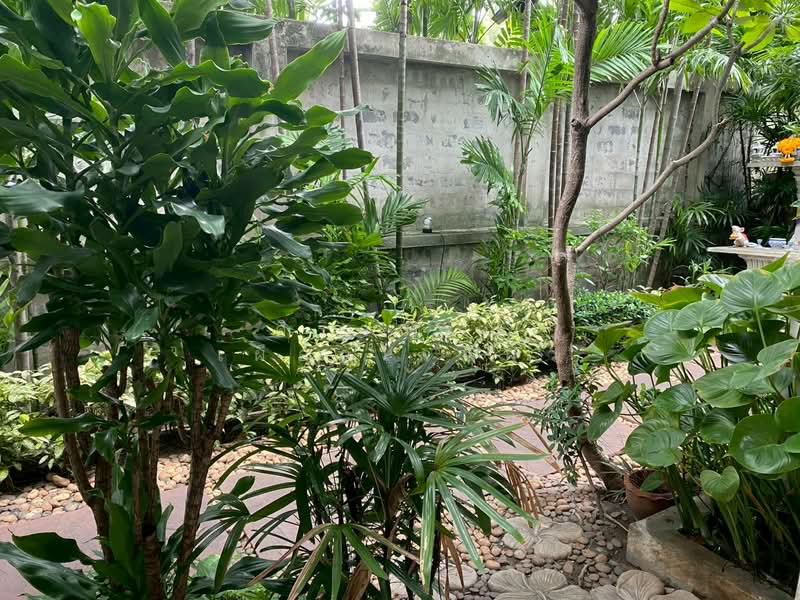 Von Napa Sukhumvit 38, Bangkok, Soi Sukhumvit 38, Phra Kanong, Khlong Toei, Bangkok, 2 Bedrooms, 105 sqm, Condo For Rent, by ศิริวรรณ เผือกใจแผ้ว, 500413700 - DDproperty.com