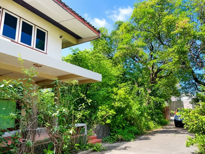ขายที่ดินลาดพร้าว พร้อมสิ่งปลูกสร้าง 398 ตร.ว. ซอยลาดพร้าว 1 แยก 4-5 ใกล้ Central ลาดพร้าว และ MRT, กรุงเทพ, จอมพล, จตุจักร, กรุงเทพ, 1,592 ตร.ม., ที่ดิน ขาย, โดย ช่องทางการติดต่อ, 500413920 - DDproperty.com