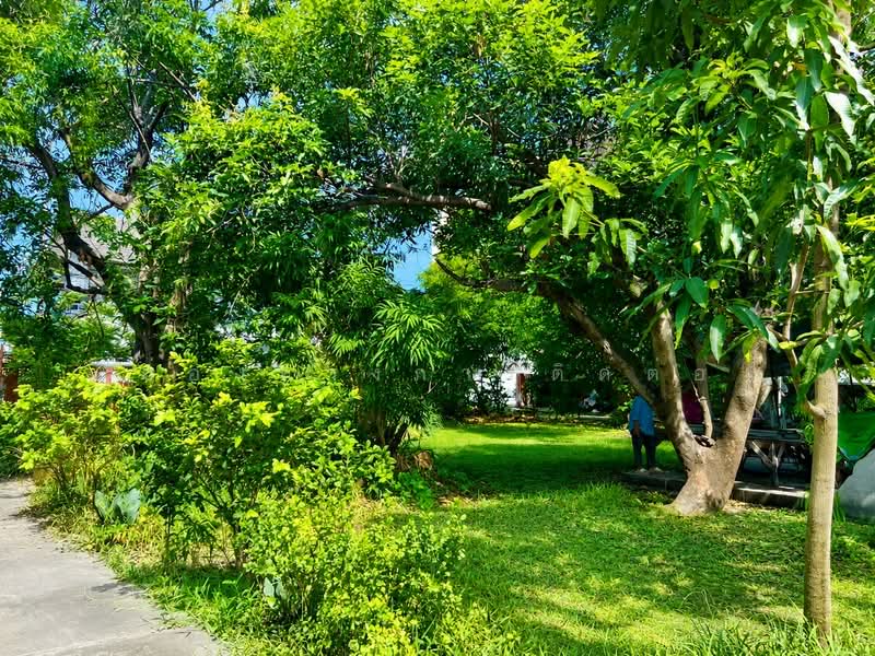 ขายที่ดินลาดพร้าว พร้อมสิ่งปลูกสร้าง 398 ตร.ว. ซอยลาดพร้าว 1 แยก 4-5 ใกล้ Central ลาดพร้าว และ MRT, กรุงเทพ, จอมพล, จตุจักร, กรุงเทพ, 1,592 ตร.ม., ที่ดิน ขาย, โดย ช่องทางการติดต่อ, 500413920 - DDproperty.com