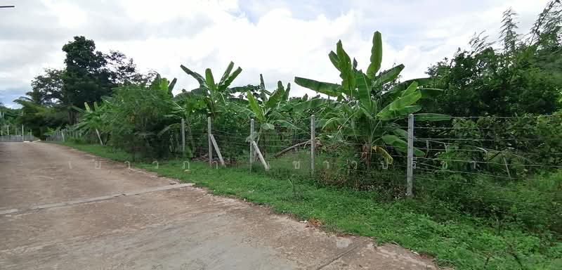 ท่าตะคร้อ, Phetchaburi, Tha Ta Kraw, Nong Ya Plong, Phetchaburi, , 14,800 sqm, Land For Sale, by Yaowapa Chaopreecha, 500414040 - DDproperty.com