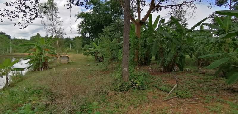ท่าตะคร้อ, Phetchaburi, Tha Ta Kraw, Nong Ya Plong, Phetchaburi, , 14,800 sqm, Land For Sale, by Yaowapa Chaopreecha, 500414040 - DDproperty.com