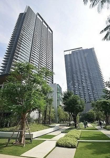 333 Riverside : 333 ริเวอร์ไซด์, กรุงเทพ, 333 ประชาราษฎร์ สาย 2, บางซื่อ, กรุงเทพ, 45 ตร.ม., คอนโด ให้เช่า, โดย Nitchakarn Wanitwichakornkit, 500414242 - DDproperty.com