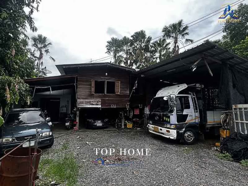 ขายด่วน ที่ดินแปลงใหญ่ หนองเสือ คลอง 13 จ.ปทุมธานี, Pathum Thani, Nong Sam Wang, Nong Sua, Pathum Thani, , 39,972 sqm, Land For Sale, by คุณนับ, 500414327 - DDproperty.com