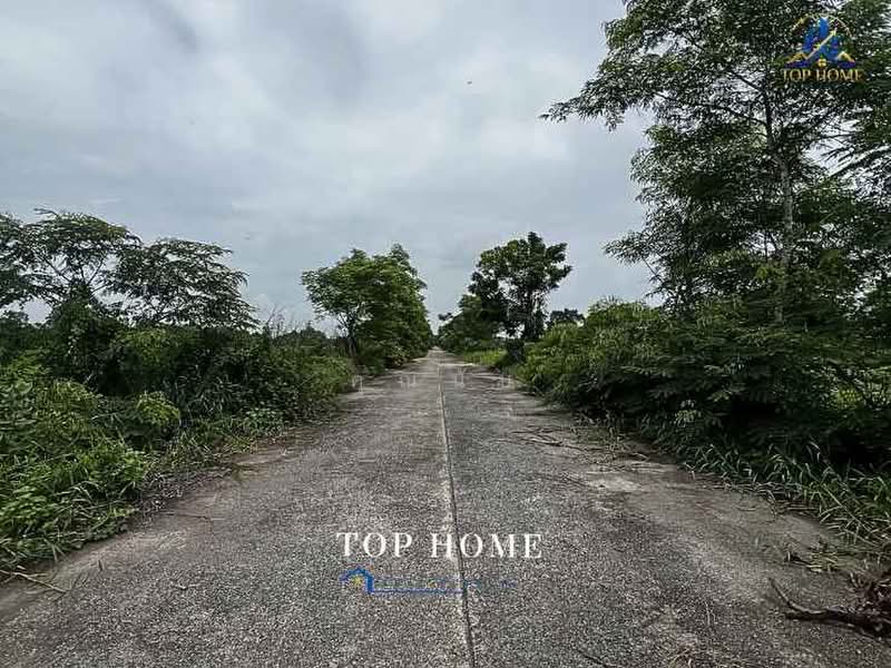 ขายด่วน ที่ดินแปลงใหญ่ หนองเสือ คลอง 13 จ.ปทุมธานี, Pathum Thani, Nong Sam Wang, Nong Sua, Pathum Thani, , 39,972 sqm, Land For Sale, by คุณนับ, 500414327 - DDproperty.com