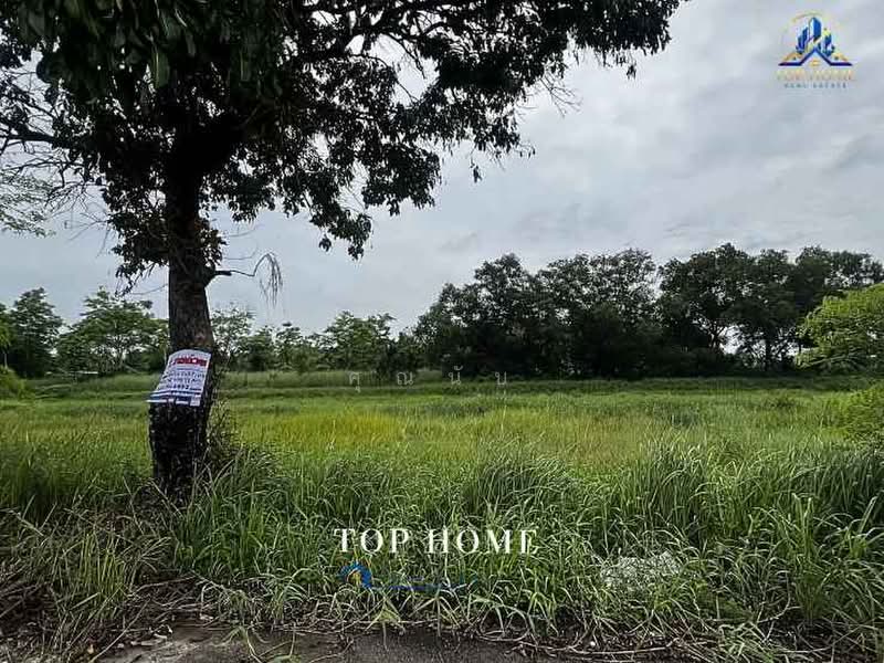 ขายด่วน ที่ดินแปลงใหญ่ หนองเสือ คลอง 13 จ.ปทุมธานี, ปทุมธานี, หนองสามวัง, หนองเสือ, ปทุมธานี, 39,972 ตร.ม., ที่ดิน ขาย, โดย คุณนับ, 500414327 - DDproperty.com