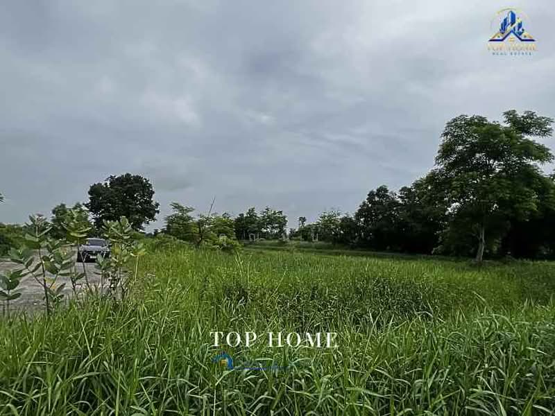 ขายด่วน ที่ดินแปลงใหญ่ หนองเสือ คลอง 13 จ.ปทุมธานี, Pathum Thani, Nong Sam Wang, Nong Sua, Pathum Thani, , 39,972 sqm, Land For Sale, by คุณนับ, 500414327 - DDproperty.com