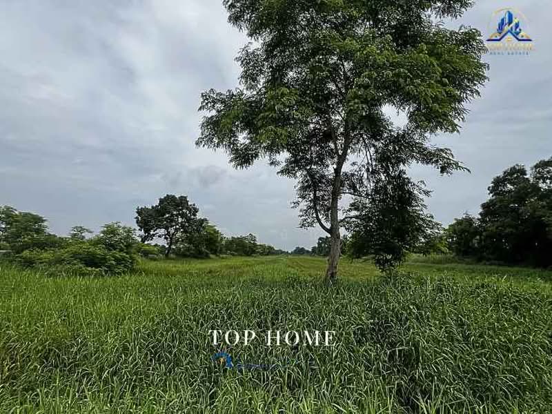 ขายด่วน ที่ดินแปลงใหญ่ หนองเสือ คลอง 13 จ.ปทุมธานี, Pathum Thani, Nong Sam Wang, Nong Sua, Pathum Thani, , 39,972 sqm, Land For Sale, by คุณนับ, 500414327 - DDproperty.com