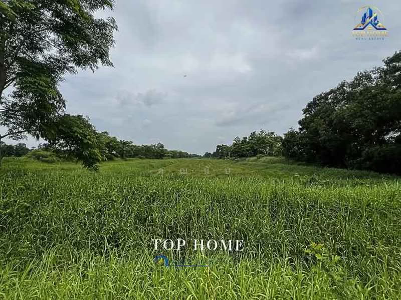 ขายด่วน ที่ดินแปลงใหญ่ หนองเสือ คลอง 13 จ.ปทุมธานี, Pathum Thani, Nong Sam Wang, Nong Sua, Pathum Thani, , 39,972 sqm, Land For Sale, by คุณนับ, 500414327 - DDproperty.com