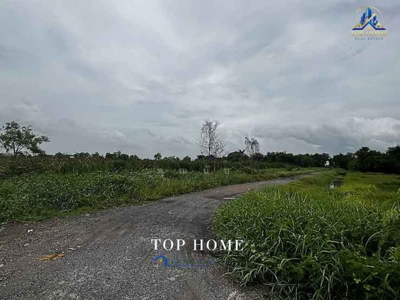 ขายด่วน ที่ดินแปลงใหญ่ หนองเสือ คลอง 13 จ.ปทุมธานี, Pathum Thani, Nong Sam Wang, Nong Sua, Pathum Thani, , 39,972 sqm, Land For Sale, by คุณนับ, 500414327 - DDproperty.com