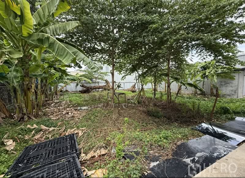 For rent Warehouse 300 sq.m. in Khlong Chaokhun Sing, Wang Thonglang, Bangkok HRE01050, กรุงเทพ, คลองเจ้าคุณสิงห์, วังทองหลาง, กรุงเทพ, 300 ตร.ม., โกดัง-โรงงาน ให้เช่า, โดย Hero Realtor Co., Ltd., 500414412 - DDproperty.com