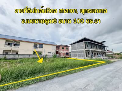 ขาย - ศาลายา, นครปฐม