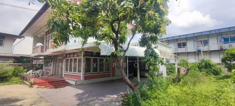 บ้านเดี่ยวสร้างเอง ลาดพร้าว 57, กรุงเทพ, , สะพานสอง, วังทองหลาง, กรุงเทพ, 324 ตร.ม., บ้านเดี่ยว ให้เช่า, โดย Connex Property, 500414593 - DDproperty.com