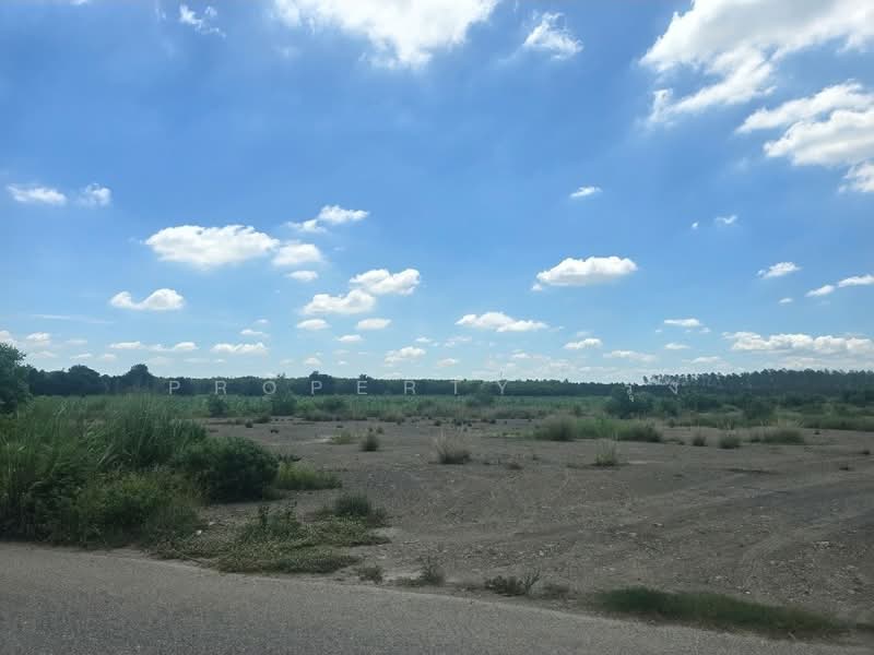 ที่ดินแปลงยาว ฉะเชิงเทรา, Chachoengsao, Hua Samrong, Plaeng Yao, Chachoengsao, , 16,000 sqm, Land For Sale, by The Best Property รุ้ง, 500414616 - DDproperty.com