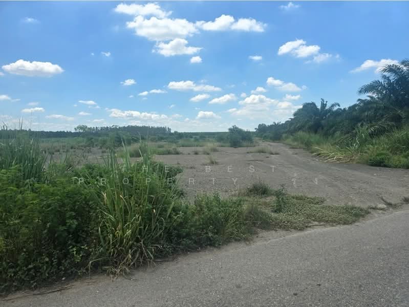 ที่ดินแปลงยาว ฉะเชิงเทรา, Chachoengsao, Hua Samrong, Plaeng Yao, Chachoengsao, , 16,000 sqm, Land For Sale, by The Best Property รุ้ง, 500414616 - DDproperty.com