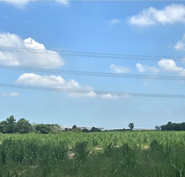 ที่ดินแปลงยาว ฉะเชิงเทรา, Chachoengsao, Hua Samrong, Plaeng Yao, Chachoengsao, , 16,000 sqm, Land For Sale, by The Best Property รุ้ง, 500414616 - DDproperty.com