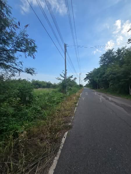 ที่ดินบางคล้า ฉะเชิงเทรา, ฉะเชิงเทรา, เสม็ดเหนือ, บางคล้า, ฉะเชิงเทรา, 5,096 ตร.ม., ที่ดิน ขาย, โดย The Best Property รุ้ง, 500414649 - DDproperty.com