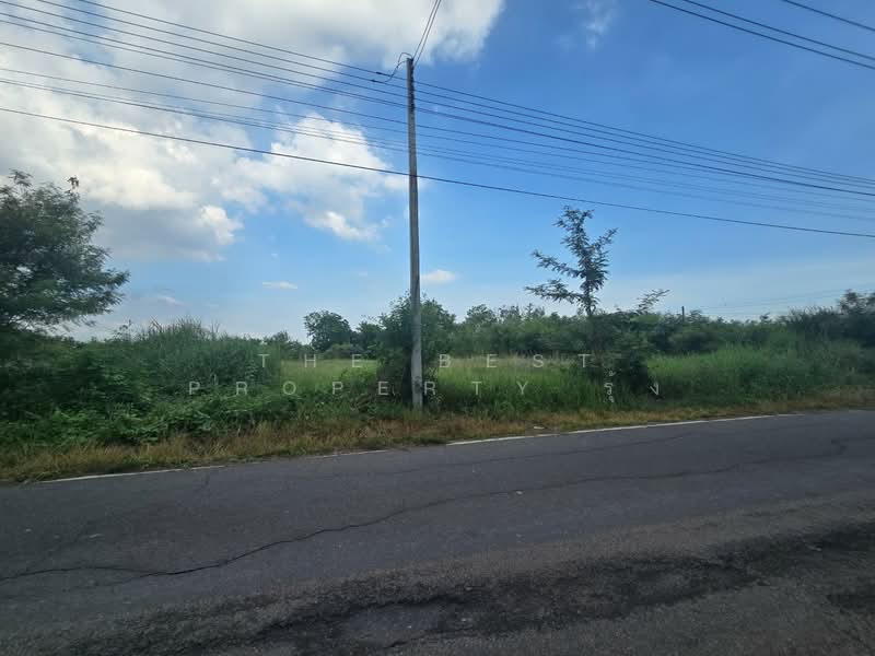 ที่ดินบางคล้า ฉะเชิงเทรา, ฉะเชิงเทรา, เสม็ดเหนือ, บางคล้า, ฉะเชิงเทรา, 5,096 ตร.ม., ที่ดิน ขาย, โดย The Best Property รุ้ง, 500414649 - DDproperty.com