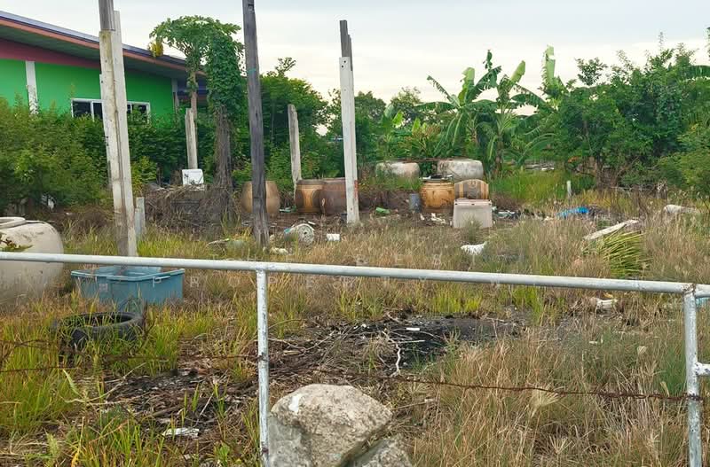 ที่ดินท่าไข่ ฉะเชิงเทรา, Chachoengsao, Tha Khai, Muang Chachoengsao, Chachoengsao, , 4,944 sqm, Land For Sale, by The Best Property ฟ้า, 500414751 - DDproperty.com