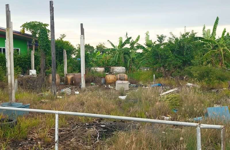 ที่ดินท่าไข่ ฉะเชิงเทรา, Chachoengsao, Tha Khai, Muang Chachoengsao, Chachoengsao, , 4,944 sqm, Land For Sale, by The Best Property ฟ้า, 500414751 - DDproperty.com