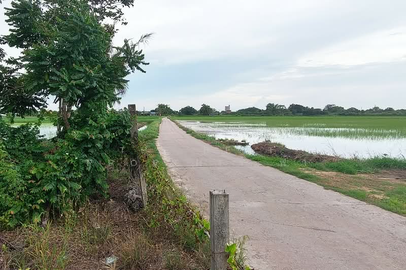 ที่ดินท่าไข่ ฉะเชิงเทรา, Chachoengsao, Tha Khai, Muang Chachoengsao, Chachoengsao, , 4,944 sqm, Land For Sale, by The Best Property ฟ้า, 500414751 - DDproperty.com