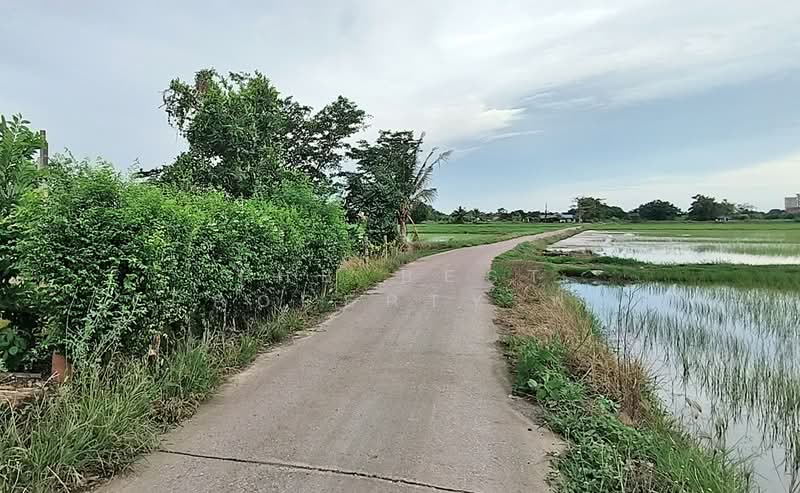 ที่ดินท่าไข่ ฉะเชิงเทรา, ฉะเชิงเทรา, ท่าไข่, เมืองฉะเชิงเทรา, ฉะเชิงเทรา, 4,944 ตร.ม., ที่ดิน ขาย, โดย The Best Property ฟ้า, 500414751 - DDproperty.com