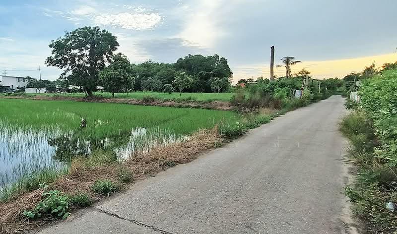 ที่ดินท่าไข่ ฉะเชิงเทรา, Chachoengsao, Tha Khai, Muang Chachoengsao, Chachoengsao, , 4,944 sqm, Land For Sale, by The Best Property ฟ้า, 500414751 - DDproperty.com