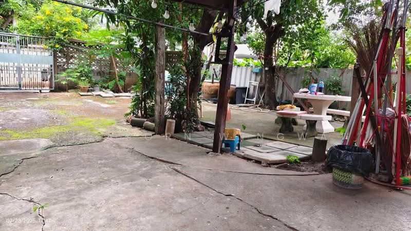 3-BR House, Bangkok, Chan Kasem, Chatuchak, Bangkok, 3 Bedrooms, 240 sqm, Single Detached House For Sale, by Nisakorn Wingwat, 500414768 - DDproperty.com