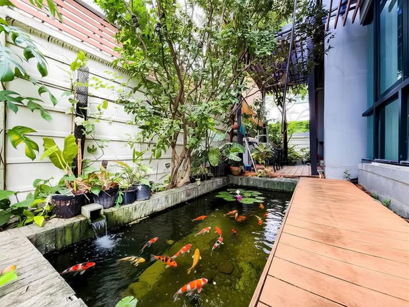 Aqua Divina Ramkhamhaeng 94, Bangkok, Ramkhamhaeng Road, Saphan Sung, Bangkok, 4 Bedrooms, 168 sqm, Single Detached House For Sale, by คุณรุ่งนภา ศาสนะ (ออย), 500414793 - DDproperty.com