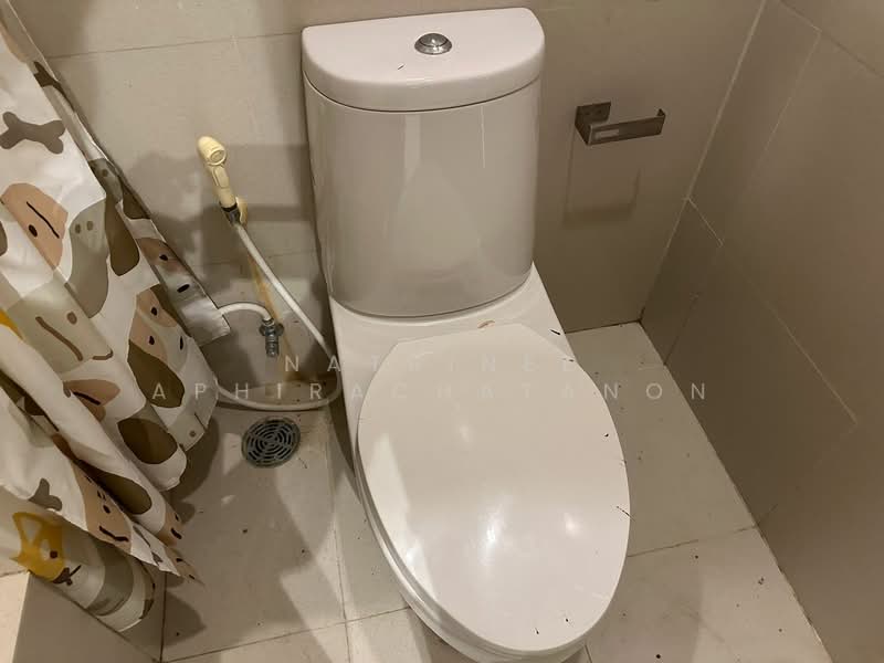 Noble Solo, Bangkok, 988 Thong Lo, Khlong Tan Nua, Watthana, Bangkok, 1 Bedroom, 32 sqm, Condo For Rent, by Natrinee Aphirachatanon, 500414834 - DDproperty.com