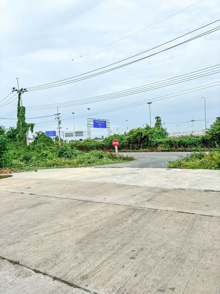 พะเนียงแตก, Nakhon Pathom, Map Khae, Muang Nakhon Pathom, Nakhon Pathom, , 176 sqm, Shophouse For Sale, by Apaporn Muanthorani, 500414887 - DDproperty.com