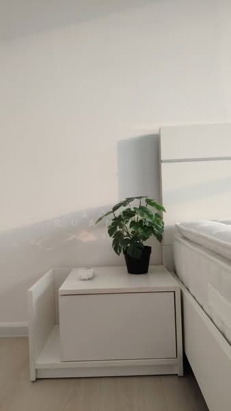 Aspire Sukhumvit 48, Bangkok, Sukhumvit Road, Phra Kanong, Khlong Toei, Bangkok, 2 Bedrooms, 54 sqm, Condo For Rent, by Thachaya Buanong, 500414900 - DDproperty.com