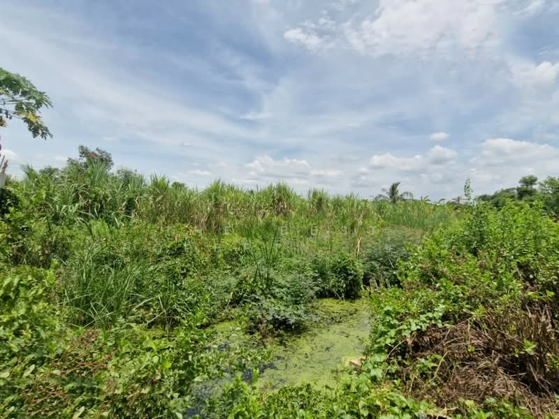 ที่ดินหนองจอก กรุงเทพมหานคร, Bangkok, Khlong Sip, Nong Chok, Bangkok, , 800 sqm, Land For Sale, by The Best Property ข้าว, 500414959 - DDproperty.com